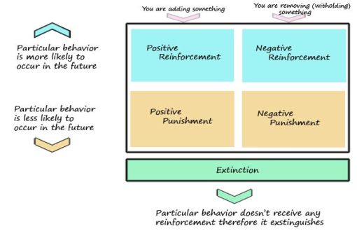 operant conditioning box