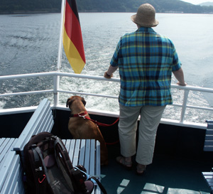 dog on the boat