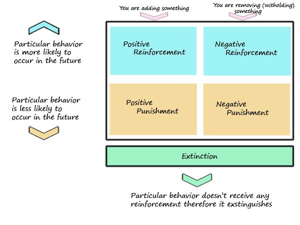 operant conditioning box