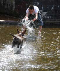 interacting with dog