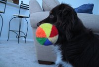 dog with ball