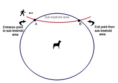 dog sub threshold zone